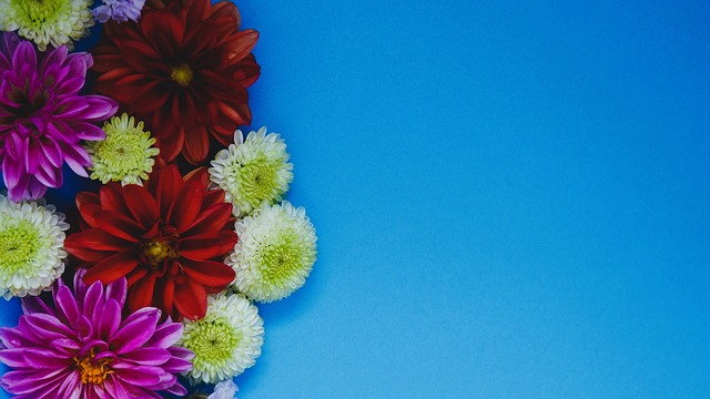 德国教练敏 德国教练敏