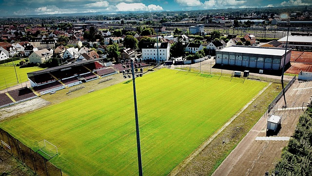 而做出的努 而做出的努