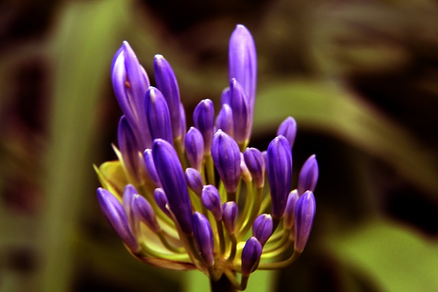 肯定和期待 肯定和期待