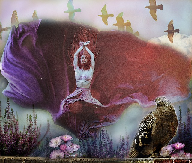 的胜利展示 的胜利展示