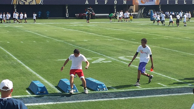 因點球爭議 因點球爭議